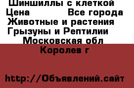 Шиншиллы с клеткой › Цена ­ 8 000 - Все города Животные и растения » Грызуны и Рептилии   . Московская обл.,Королев г.